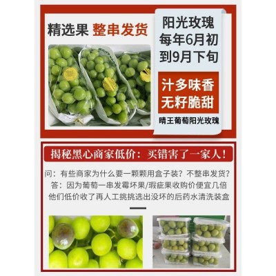 云南阳光玫瑰葡萄香印晴王青提子无籽新鲜孕妇水果当季整箱5斤图3