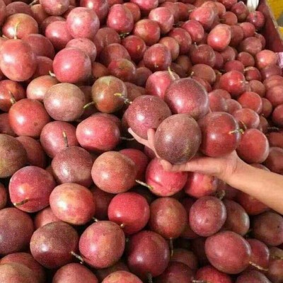 G0002紫皮百香果甜蜜百香果新鲜特级水果现摘现发酸甜图2