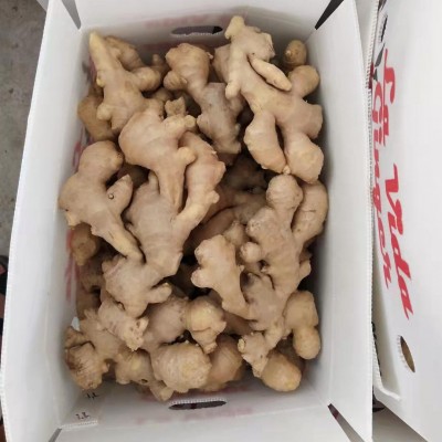 山东基地直供农副产品批发 食用干净整块新鲜生姜图3