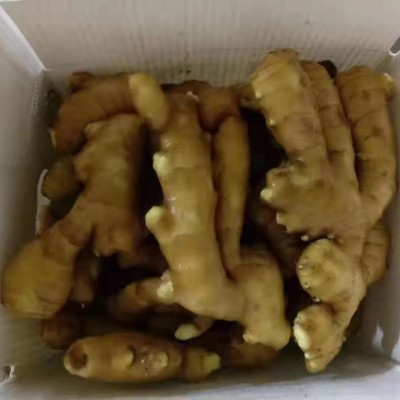 山东基地直供农副产品批发 食用干净整块新鲜生姜图4