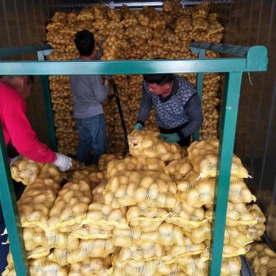 山东蔬菜基地供应小土豆 新鲜农副食品土豆马铃薯 价格面议图2