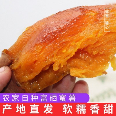 红心地瓜糖心小番薯红蜜薯沙地新鲜西瓜红红薯香甜板栗图2