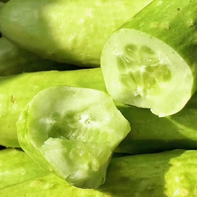 批发海阳白玉黄瓜新鲜现摘蔬菜脆嫩水果黄瓜生吃小黄瓜蔬菜批发代图4