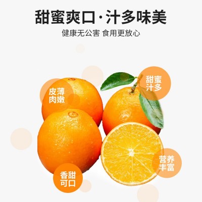 赣南脐橙脐橙新鲜水果现摘10斤甜橙赣州橙子批发图2
