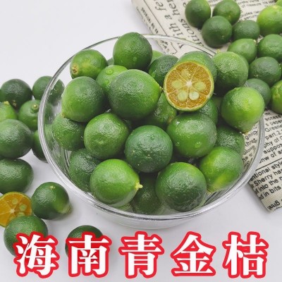 海南青金桔小金桔小青桔酸桔橘子新鲜柠檬包邮奶茶店专用水果批发图2