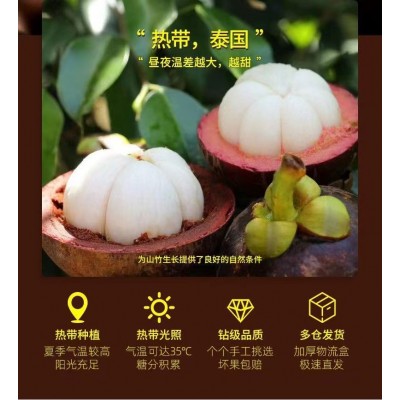 顺丰冷链泰国山竹5A6A特大果新鲜速发特级应季水果送礼包邮批发价图2