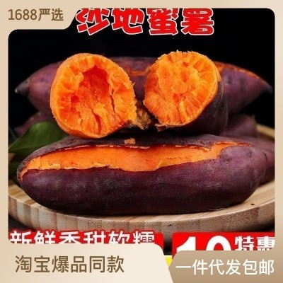 福建六鳌红薯 产地直发 新鲜现挖 香甜沙地蜜番薯红苕地瓜 非烟薯图5