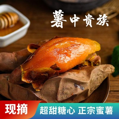 福建六鳌红薯 产地直发 新鲜现挖 香甜沙地蜜番薯红苕地瓜 非烟薯图3