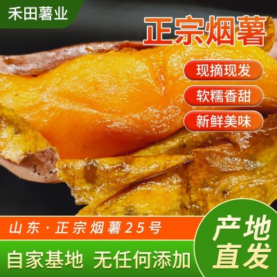 烤薯店6两~1斤山东烟薯50斤窖藏农家红薯烤地瓜糖心红心沙地蜜薯图2