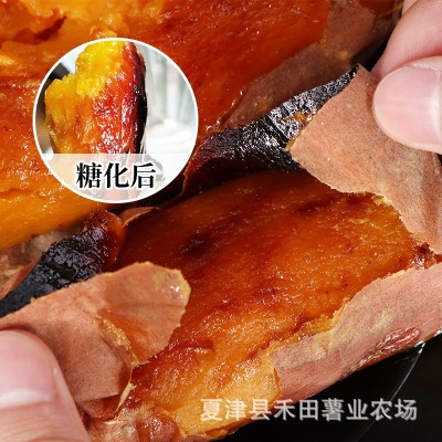 山东烟薯25号蜜薯糖心红薯新鲜番薯农家自种山芋农科院烤地瓜图2