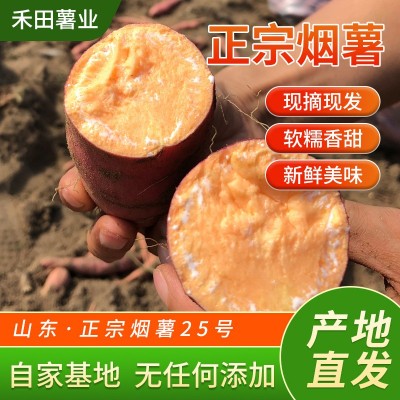 山东蜜薯糖心红薯新鲜带箱一箱50斤红心烤地瓜流油密薯包邮烟蜜薯图4