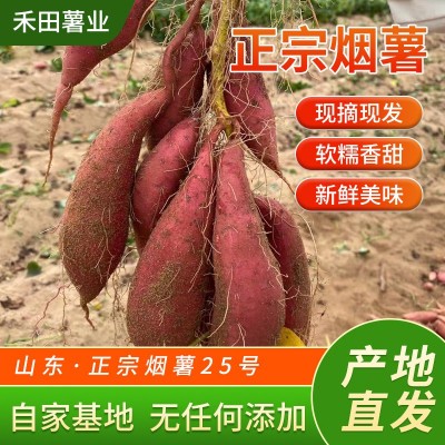 山东蜜薯糖心红薯新鲜带箱一箱50斤红心烤地瓜流油密薯包邮烟蜜薯图2
