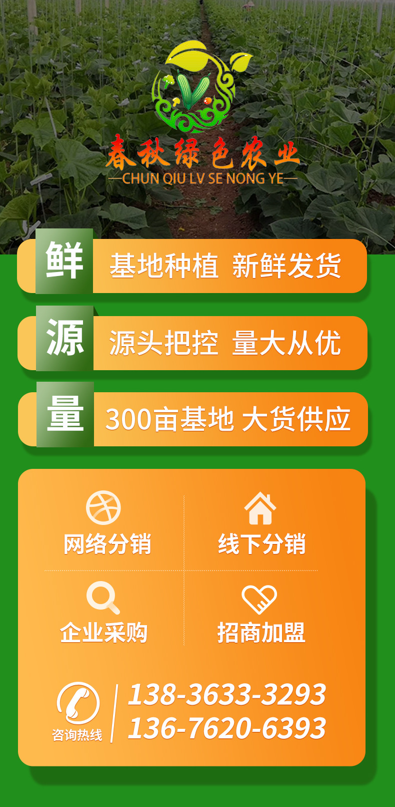玉米阿里_01.jpg