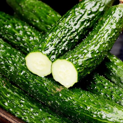 新鲜黄瓜农家现摘蔬菜黄瓜应季水果黄瓜生吃脆嫩带刺青瓜现货批发图2