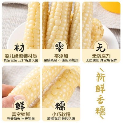 云南西双版纳拇指小玉米新鲜傣家香糯即食迷你珍珠白糯玉米棒图5