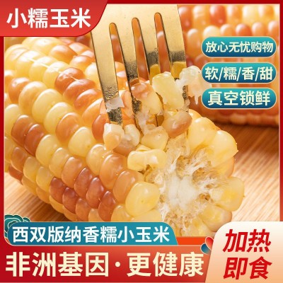 云南西双版纳香糯小玉米真空装新鲜即食花糯黏玉米棒早餐粗粮代餐图3