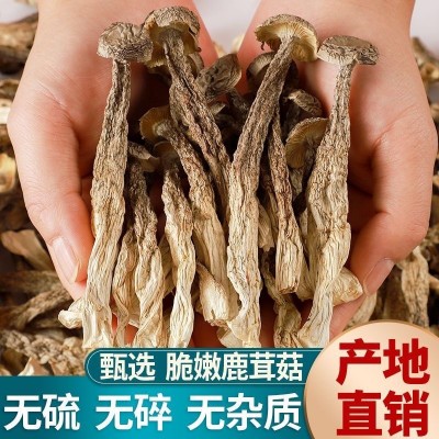 云南鹿茸菇干货净重鹿茸菌精选正品食用菌菇煲汤食材香菇产地直销图2