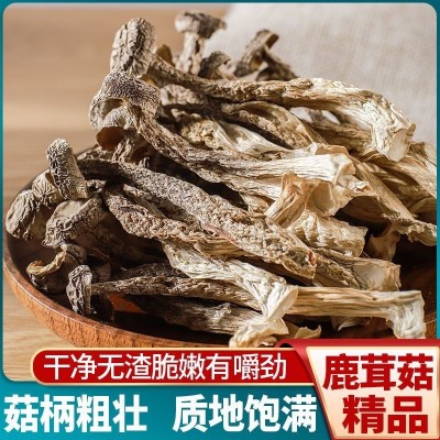 云南鹿茸菇干货净重鹿茸菌精选正品食用菌菇煲汤食材香菇产地直销图3
