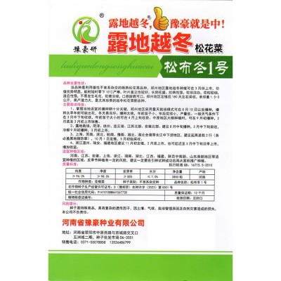 露地大苗越冬耐寒耐冻低温不长毛有机松花菜种子松布冬图4