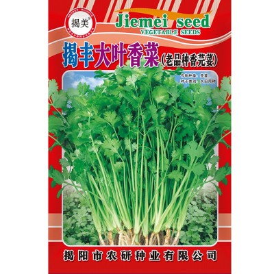 揭美20克大叶香菜种子 老品种浓香芫荽籽 阳台园艺盆栽蔬菜种子图3
