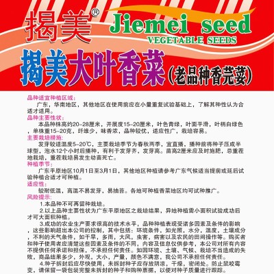 揭美20克大叶香菜种子 老品种浓香芫荽籽 阳台园艺盆栽蔬菜种子图2