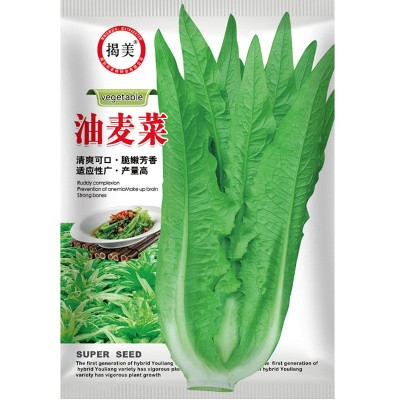 揭美尖叶油麦菜种子 香甜脆嫩油麦菜籽 阳台农业蔬菜种子2000粒装图3