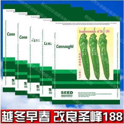 改良圣峰尖椒188尖椒种籽 越冬早春羊角辣椒大长辣椒进口辣椒籽图2
