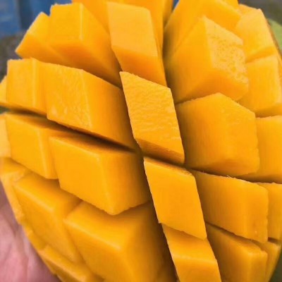 越南大青芒大金煌芒芒果当季水果芒果现摘现发一件代发图3