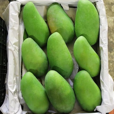 越南大青芒大金煌芒芒果当季水果芒果现摘现发一件代发图4