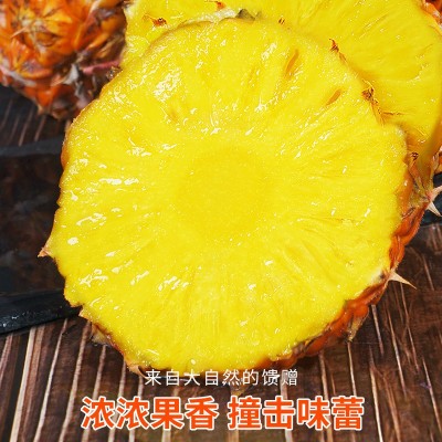 海南金钻凤梨水果应季正宗特级菠萝手撕10斤大果整箱图2