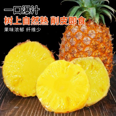 海南金钻凤梨水果应季正宗特级菠萝手撕10斤大果整箱图5