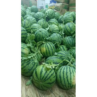 盐城8424冰糖麒麟瓜美都西瓜批发零售代发代办应季水果图4