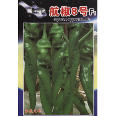 厂家批发家庭版太空蔬菜种子 航椒8号 1g/袋图3