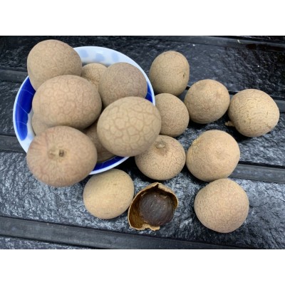 带壳干桂圆 果场工厂直销 可500g散装称重20斤整箱批发一件代发图3