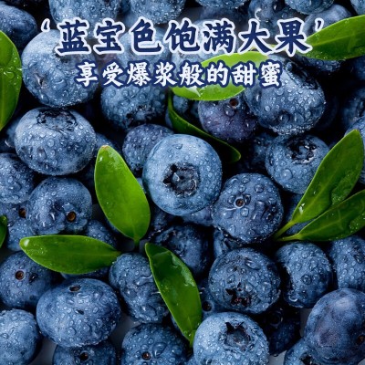 【顺丰】秘鲁新鲜大蓝莓当季时令蓝莓水果125g/盒孕妇宝宝水果图3