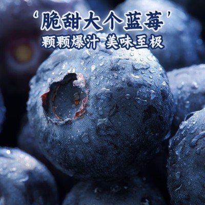 【顺丰】秘鲁新鲜大蓝莓当季时令蓝莓水果125g/盒孕妇宝宝水果图2