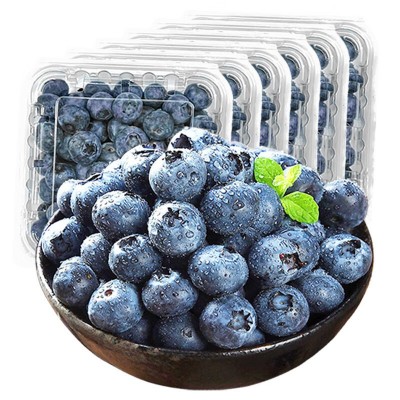 【顺丰】秘鲁新鲜大蓝莓当季时令蓝莓水果125g/盒孕妇宝宝水果图5