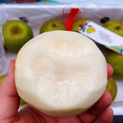 顺丰千脆蜜梨 礼盒6斤新鲜水果脆冠梨雪酥梨清甜多汁孕妇香梨图2