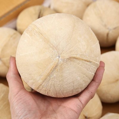 泰国进口椰皇4个/6个大果香浓老椰子新鲜椰汁去皮椰青当季时令水图4