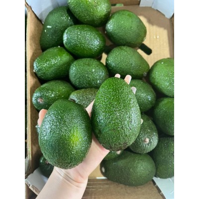 进口秘鲁牛油果进口水果巨无霸牛油果奶油热带新鲜水果一件代发图2