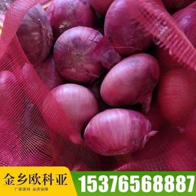 出口洋葱编织网袋 新鲜农家自种蔬菜洋葱 紫皮洋葱头圆葱现货批发图2