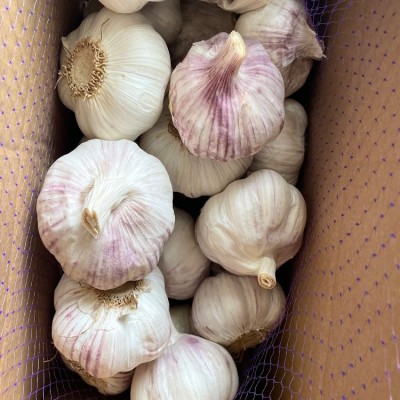 供应出口大蒜 出口红蒜 蒜头2kg/件 28元/件 2件起批图5
