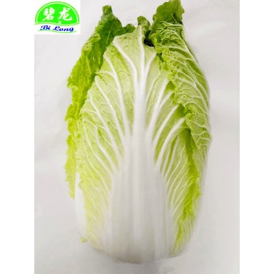 大量供应中国应季保鲜蔬菜大白菜包菜甘蓝高丽菜出口品质价格优惠图3