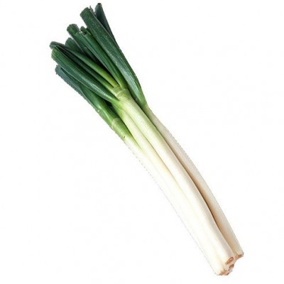 常年大量供应新季节保鲜大葱（山东寿光）图4