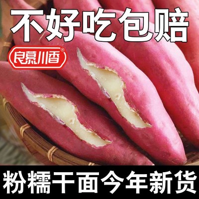 正宗板栗薯红皮白心红薯新鲜番薯白瓤山芋白肉栗子粉糯面地瓜红薯图3