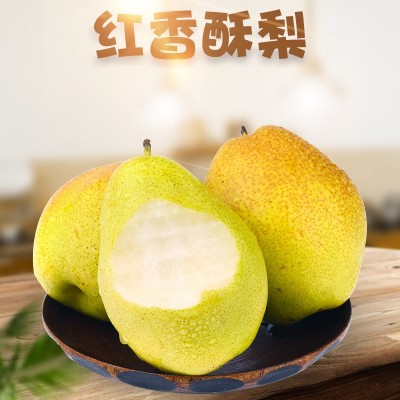 陕西红香酥梨 代发3/9斤应季水果甜梨新鲜脆甜多汁子非早酥雪花梨图3
