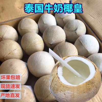 泰国椰皇新鲜椰宝椰子进口椰王鲜椰子当季老椰子椰青批发一件代发图2