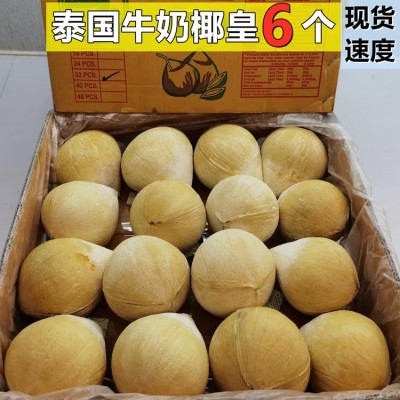 泰国椰皇新鲜椰宝椰子进口椰王鲜椰子当季老椰子椰青批发一件代发图3