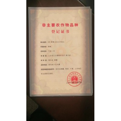 供应红乳嫁接葡萄苗木嫁接葡萄苗红乳0.5以上价格低廉图5