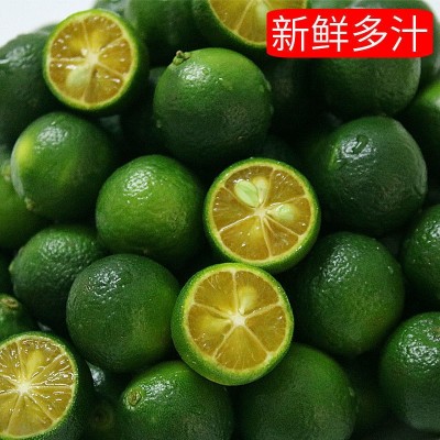 海南青金桔青橘青桔奶茶烧烤新鲜水果小青柠檬金桔批发包邮小金桔图3